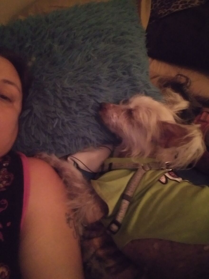 Rescues Can Be Difficult But Well Worth It Rescues Can Be Difficult But Well Worth It