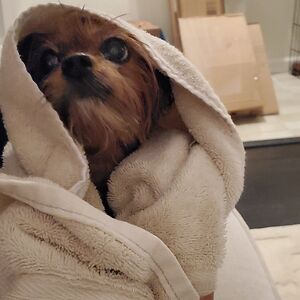 kuwabomubyana avatar