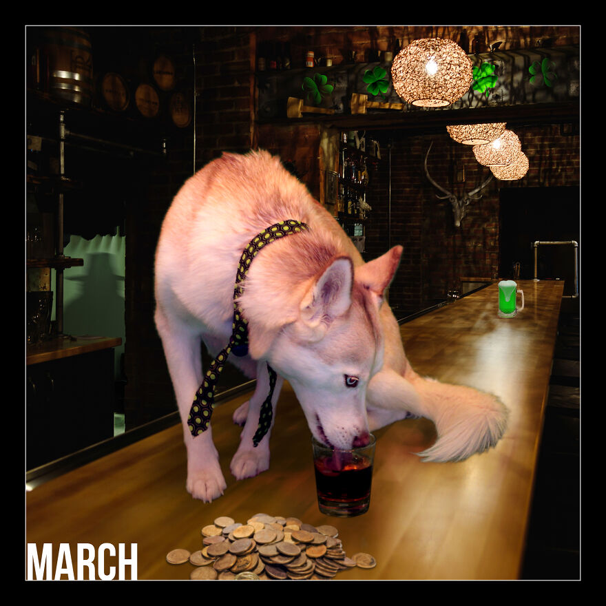 I Photoshop My Dog Into Goofy Scenes For My 2022 Calendar