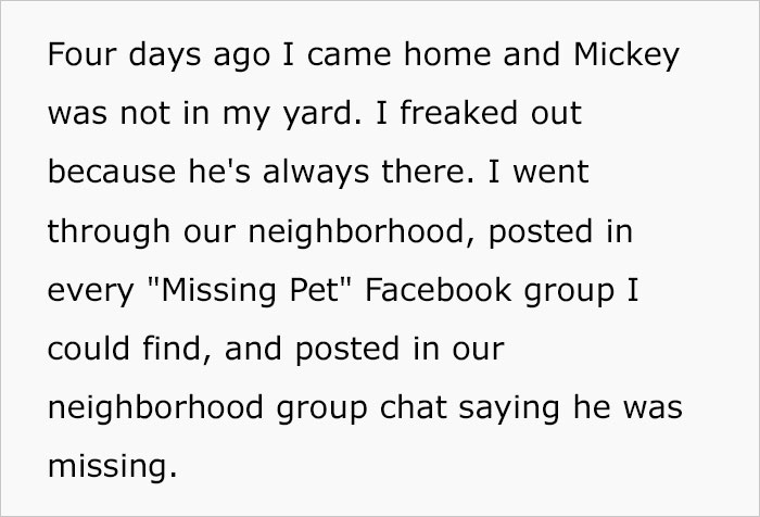 Woman Asks If She’s Wrong To Be Furious With Neighbor Who Took Her Dog From Her Own Yard Because She Thought He Was A Stray