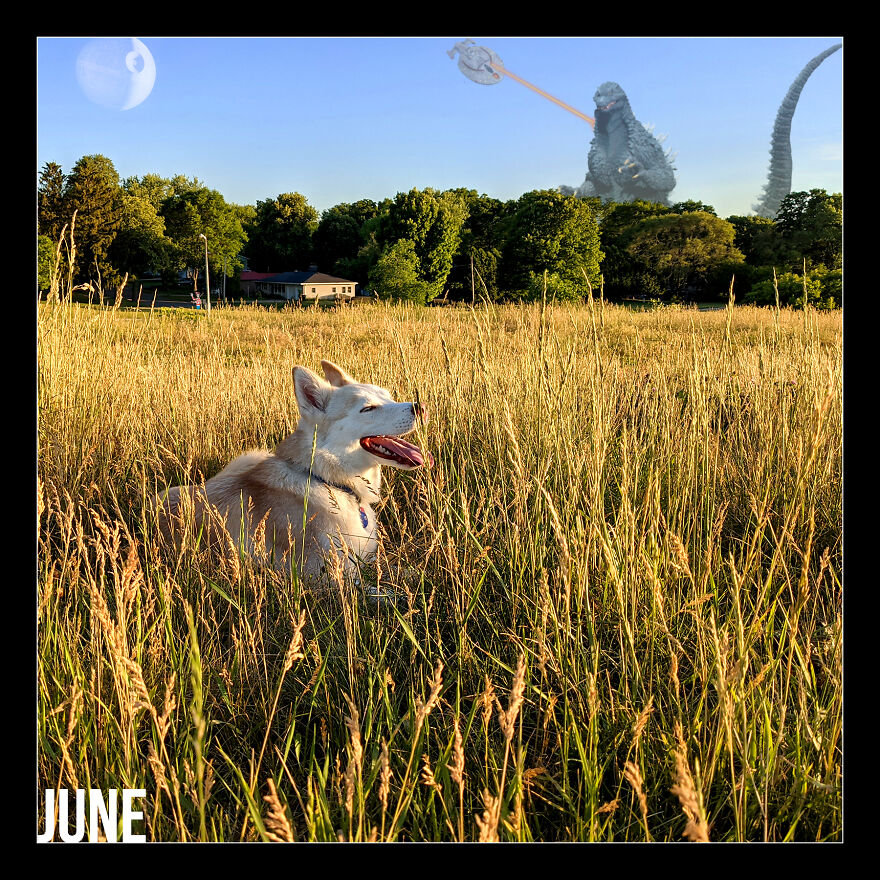 I Photoshop My Dog Into Goofy Scenes For My 2022 Calendar