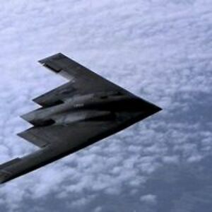 ladyfalkenburg avatar