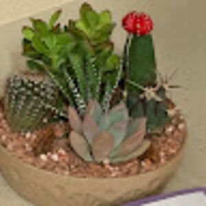 maverickroston avatar