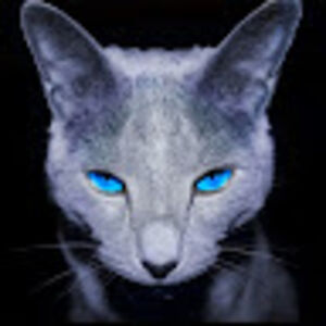 garyryckewaert avatar