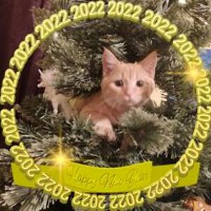 hope_lambert22 avatar