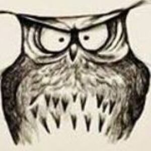 gwenllyanvmorgan avatar