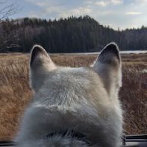 holly_m_davidson13 avatar