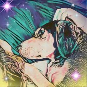 brellahanmandy avatar