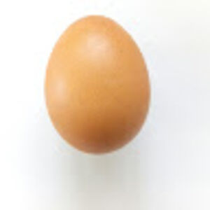 subscribeitsfree avatar