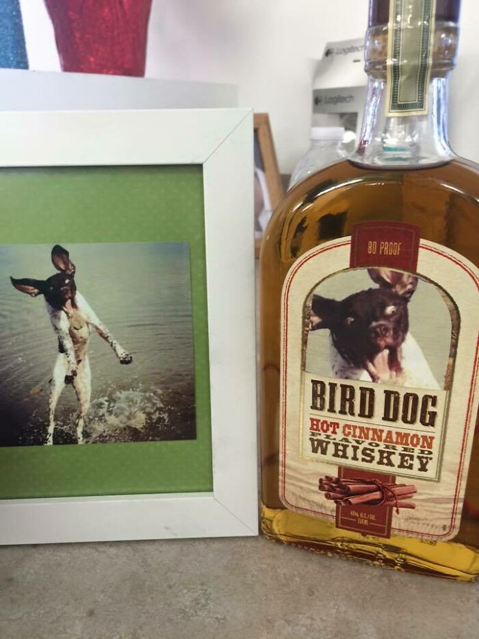 My Coworker's Photo Of Her Dog On Her Desk And My Christmas Present To Her