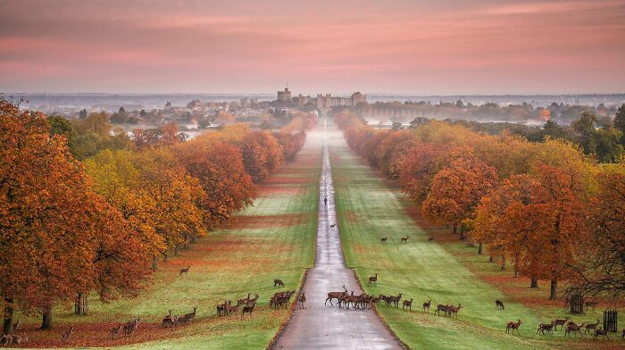 Path To Windsor Castle, England