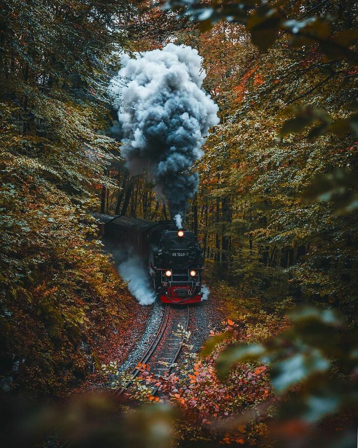 El tren pasando a través del Parque Nacional Harz 