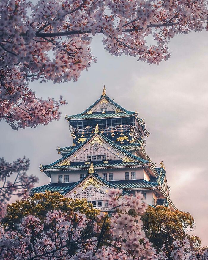 Castillo de Osaka, Japón