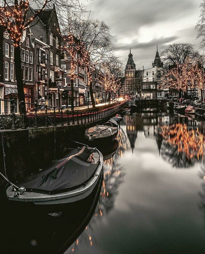 The Grays Of Amsterdam