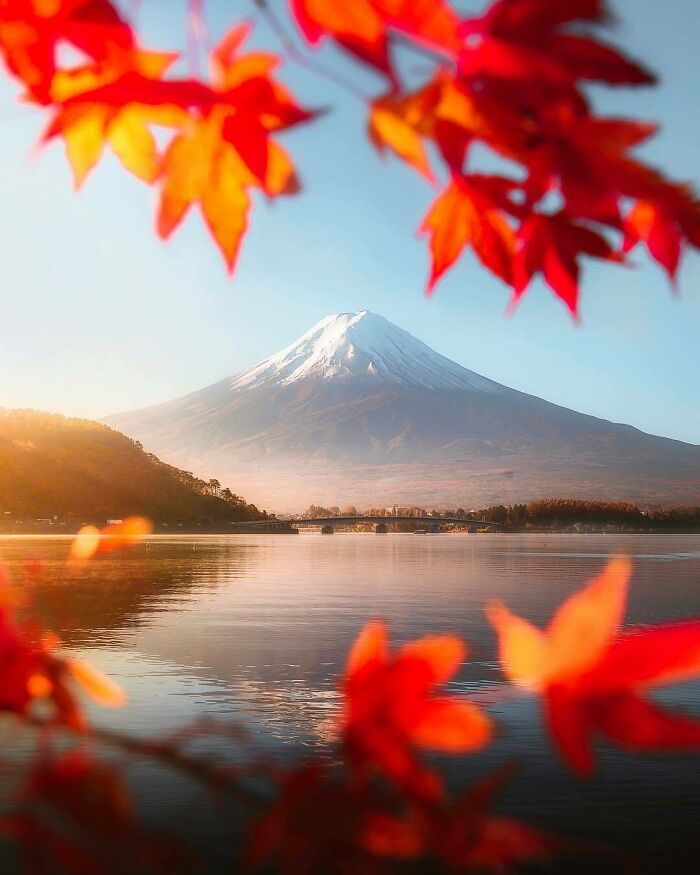 Amazing Autumn Vibes, Mount Fuji, Japan!
