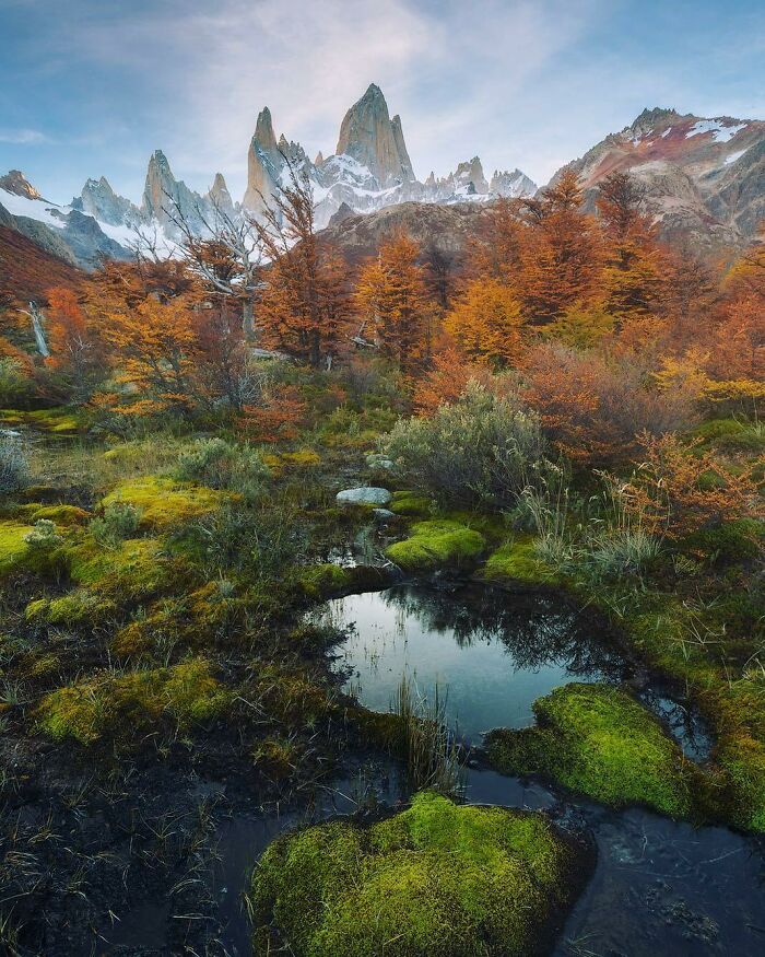  La Patagonia