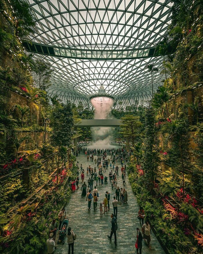 Esta es la cascada interior más alta del mundo rodeada por un bosque interior sobre terrazas en el aeropuerto Changi, Singapur