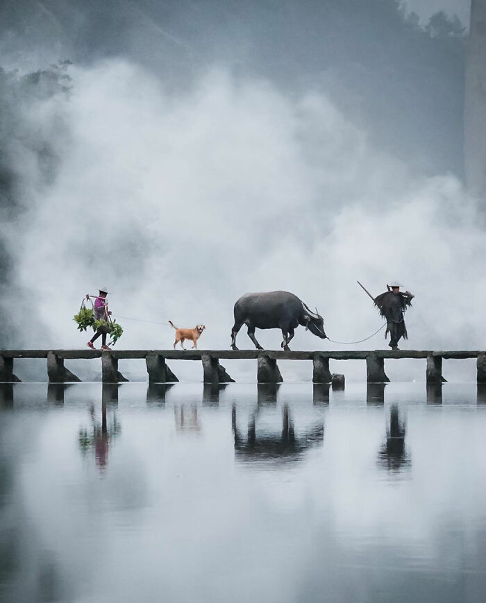 Discover and share the most beautiful images from around the world