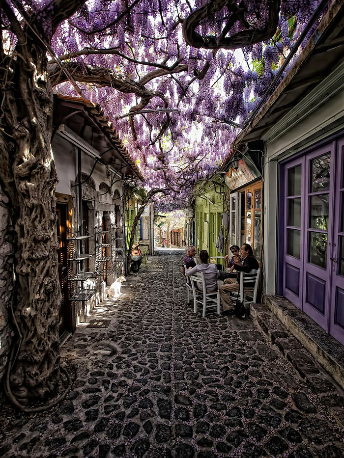 Esta calle en Molyvos, Lesbos, Grecia 