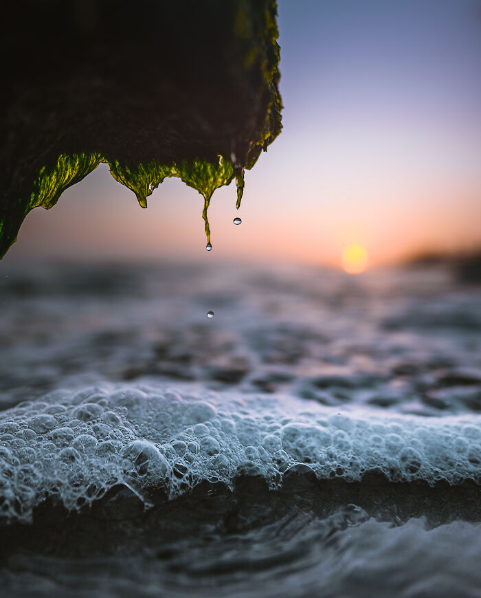 Photo I Took Of Water Dropping Off A Mossy Rock As Waves Were Rolling Back To The Sea... [oc]
