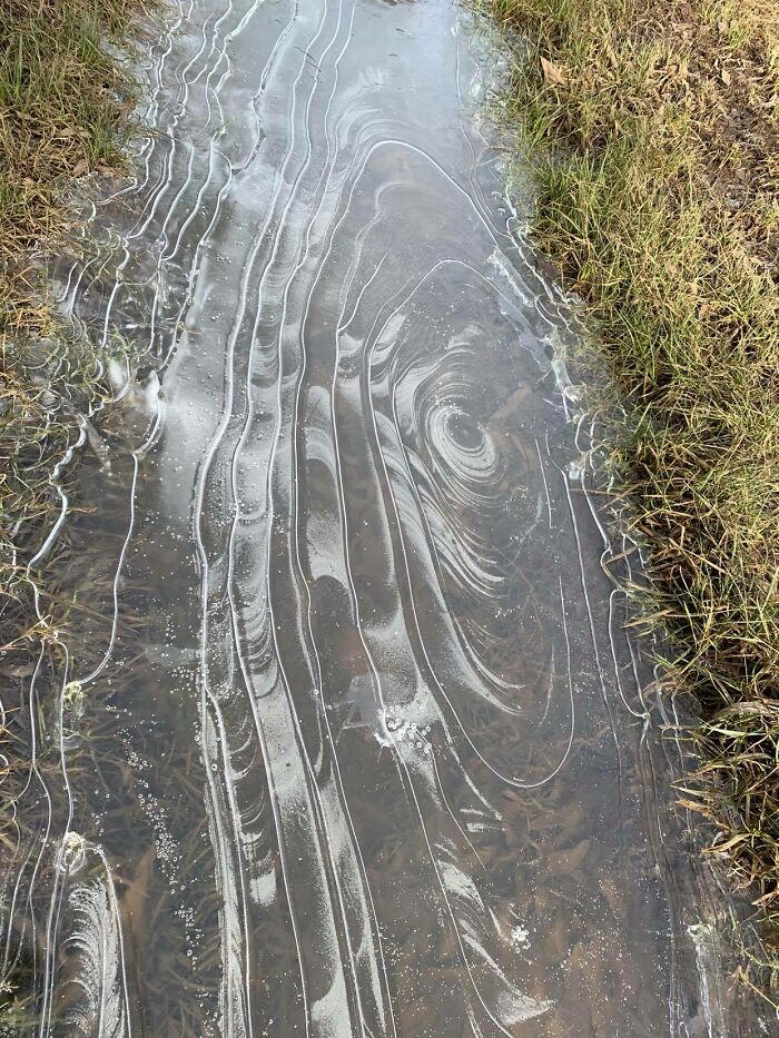 The Way This Water Froze In My Field