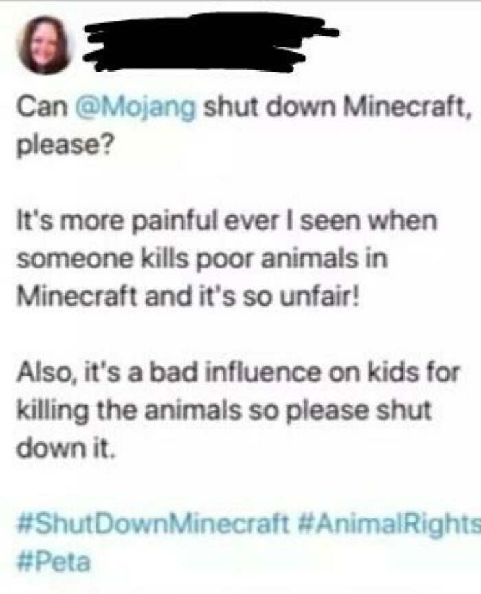 Trying To Cancel Minecraft Because Its "A Bad Influence" Does Not Help In Beating The Karen Stereotype