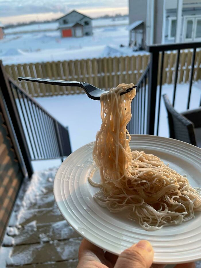Espaguetis a la tundra
