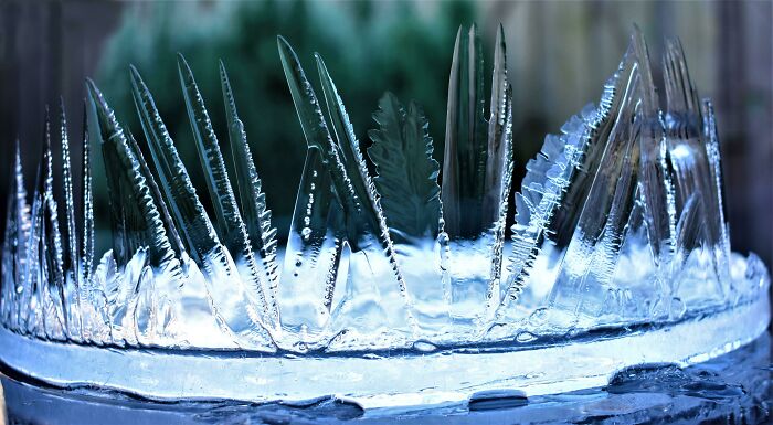 Se ha formado una poderosa corona de hielo en mi cubo de agua de lluvia