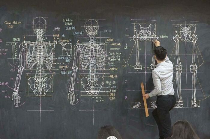 Profesor de anatomía con su clase de dibujo en una pizarra