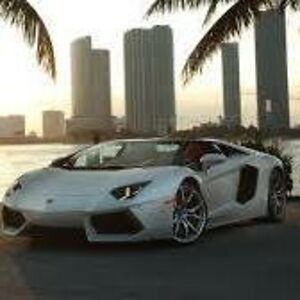 david_radovac avatar