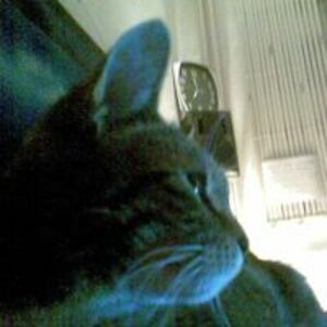 artur_sowinski avatar