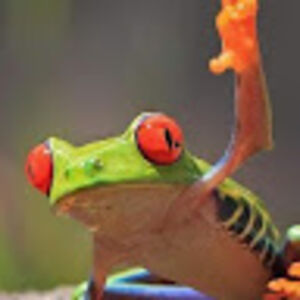 theresadewild avatar