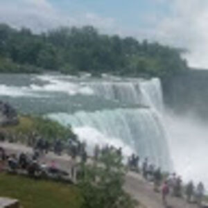 lesliegallardo avatar