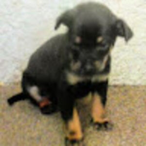 maybeyouknowmemaybeyoudonr avatar