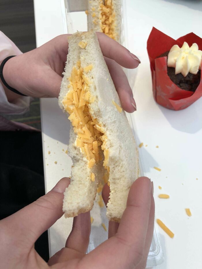 The Sandwiches Our School Sells