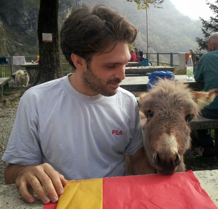 There Was A 2 Months Old Donkey In This Mountain Hut, Greeting The Customers!