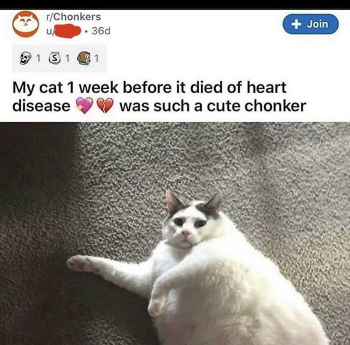 R/Chonkers Is A Horrible Sub