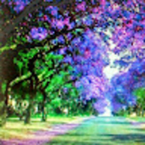 elizabethdittrich avatar