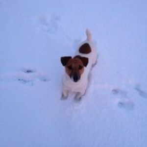 katharina_penzel avatar