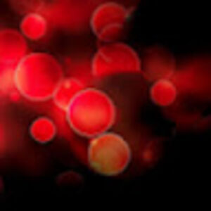 nutcaseina_nutshell avatar