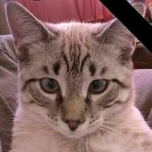 katerbaters2000 avatar