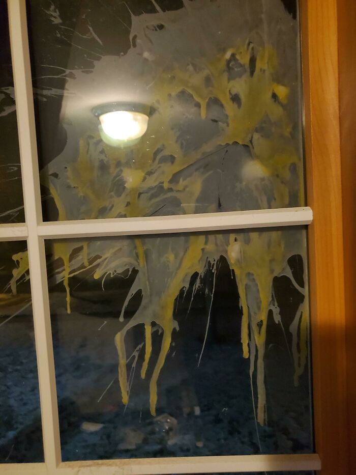 Windchill Is -21 & Kids Just Egged Our House. Froze Instantly