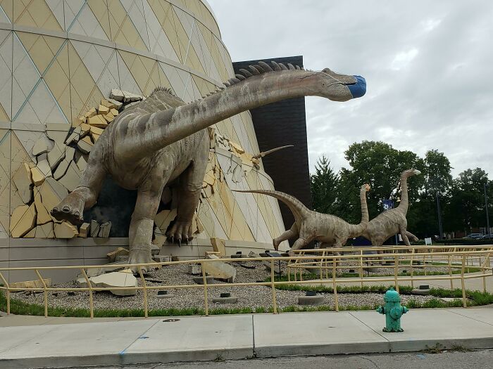 These Dinosaurs Wearing Masks At The Indianapolis Children's Museum