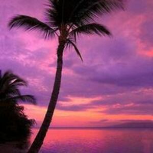 juiceesmooches avatar