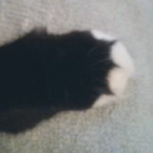 lindabellamy1 avatar