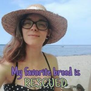 giulietta_weigel avatar