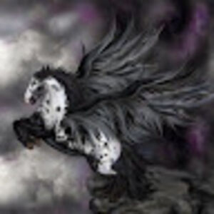 rachelwilkerson avatar