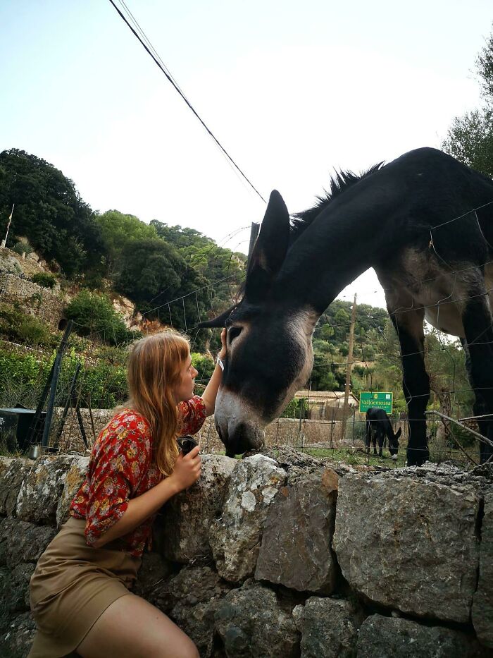 Best Day Ever, I Saw The World's Cutest Donkey