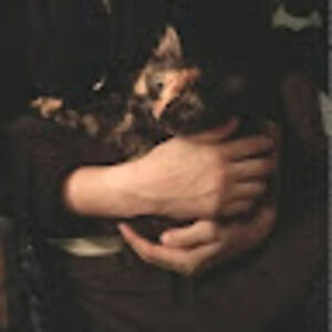 maxsteinstein avatar