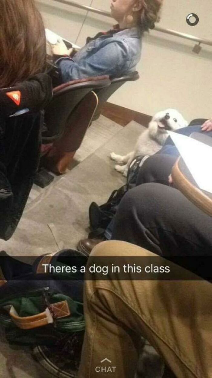 Blessed_lecture